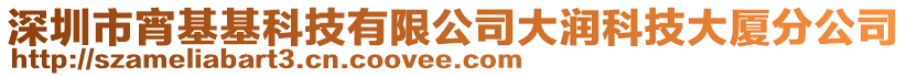 深圳市宵基基科技有限公司大潤科技大廈分公司