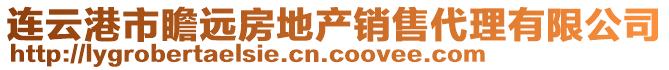 連云港市瞻遠(yuǎn)房地產(chǎn)銷售代理有限公司