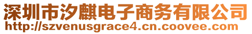 深圳市汐麒電子商務有限公司