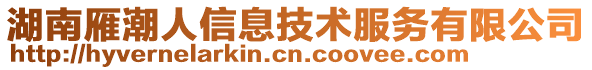 湖南雁潮人信息技術服務有限公司