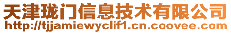 天津瓏門(mén)信息技術(shù)有限公司