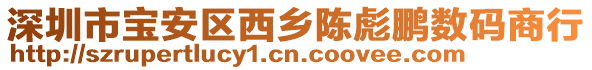 深圳市寶安區(qū)西鄉(xiāng)陳彪鵬數(shù)碼商行