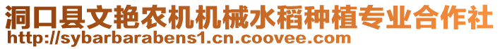 洞口縣文艷農(nóng)機(jī)機(jī)械水稻種植專業(yè)合作社