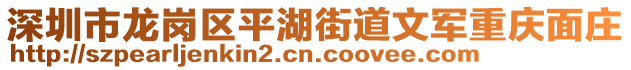 深圳市龍崗區(qū)平湖街道文軍重慶面莊