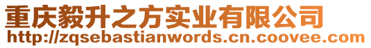 重慶毅升之方實業有限公司
