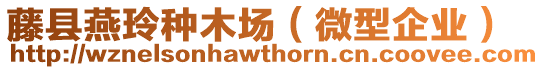 藤縣燕玲種木場(chǎng)（微型企業(yè)）