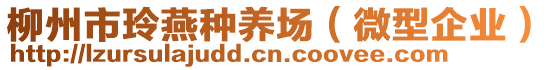 柳州市玲燕種養(yǎng)場（微型企業(yè)）