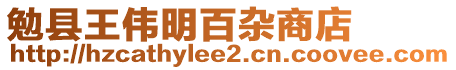 勉縣王偉明百雜商店