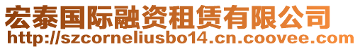 宏泰國際融資租賃有限公司