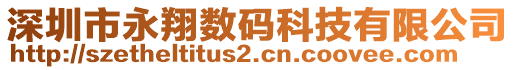 深圳市永翔數(shù)碼科技有限公司