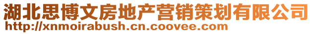 湖北思博文房地產營銷策劃有限公司