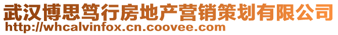 武漢博思篤行房地產營銷策劃有限公司