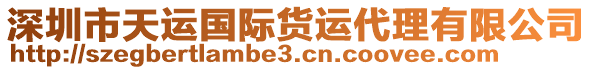 深圳市天運(yùn)國(guó)際貨運(yùn)代理有限公司