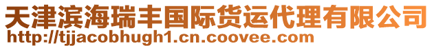 天津濱海瑞豐國際貨運代理有限公司
