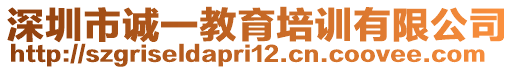 深圳市誠一教育培訓(xùn)有限公司