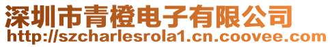 深圳市青橙電子有限公司