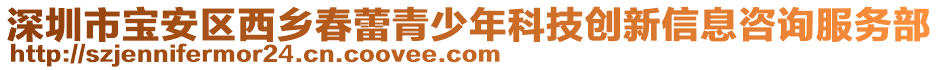 深圳市寶安區西鄉春蕾青少年科技創新信息咨詢服務部