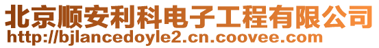 北京順安利科電子工程有限公司