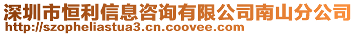 深圳市恒利信息咨詢有限公司南山分公司