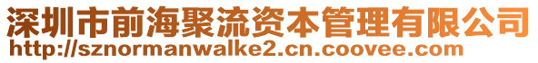 深圳市前海聚流資本管理有限公司