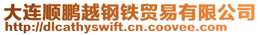 大連順鵬越鋼鐵貿(mào)易有限公司