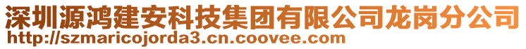 深圳源鴻建安科技集團有限公司龍崗分公司