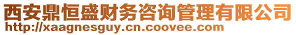 西安鼎恒盛財務咨詢管理有限公司
