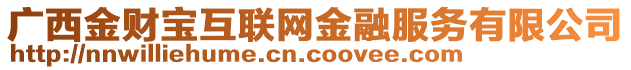 廣西金財(cái)寶互聯(lián)網(wǎng)金融服務(wù)有限公司