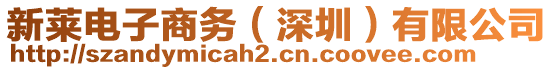 新萊電子商務(深圳)有限公司