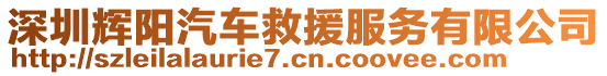 深圳輝陽汽車救援服務有限公司