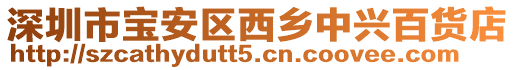 深圳市寶安區(qū)西鄉(xiāng)中興百貨店