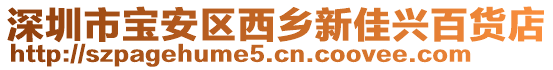 深圳市寶安區西鄉新佳興百貨店