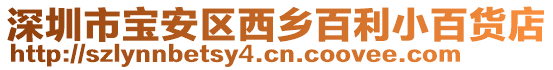 深圳市寶安區(qū)西鄉(xiāng)百利小百貨店