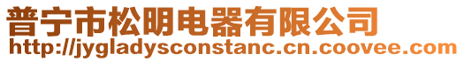普寧市松明電器有限公司