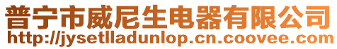 普寧市威尼生電器有限公司