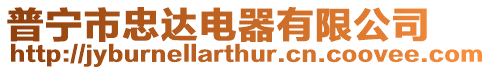 普寧市忠達電器有限公司