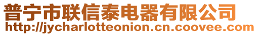 普寧市聯(lián)信泰電器有限公司