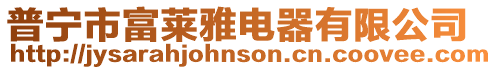 普寧市富萊雅電器有限公司