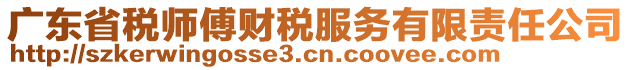 廣東省稅師傅財稅服務有限責任公司