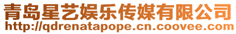 青島星藝娛樂傳媒有限公司