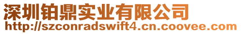 深圳鉑鼎實業有限公司