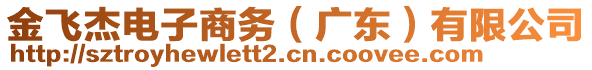 金飛杰電子商務(wù)(廣東)有限公司