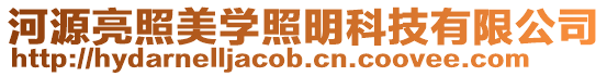 河源亮照美學照明科技有限公司