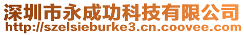 深圳市永成功科技有限公司