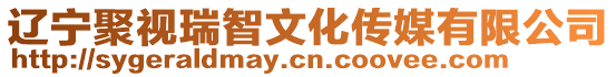 遼寧聚視瑞智文化傳媒有限公司