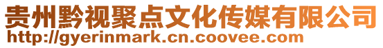貴州黔視聚點(diǎn)文化傳媒有限公司