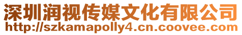 深圳潤視傳媒文化有限公司