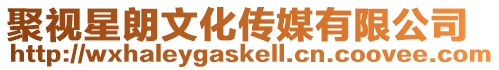 聚視星朗文化傳媒有限公司