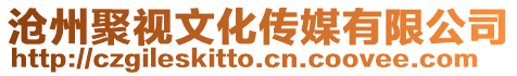 滄州聚視文化傳媒有限公司
