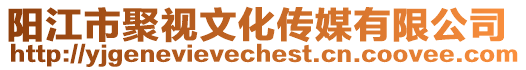 陽江市聚視文化傳媒有限公司